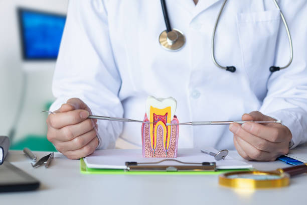 Best Broken Tooth Emergency  in Skippers Corner, NC
